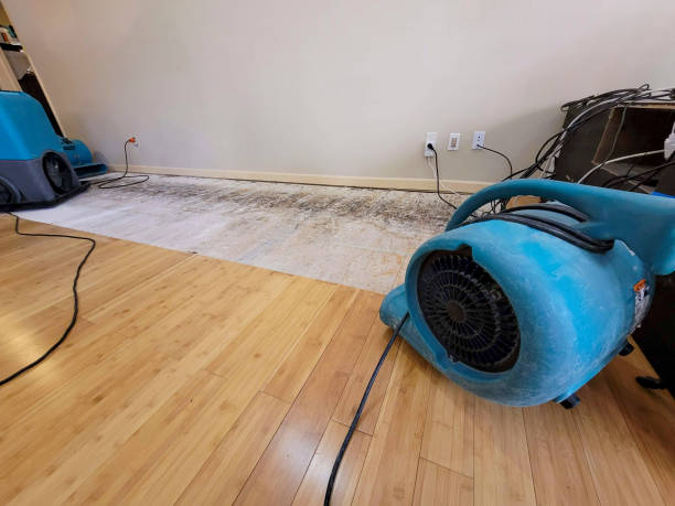 Professional Burst Pipe Water Damage technician working in Nogales, AZ